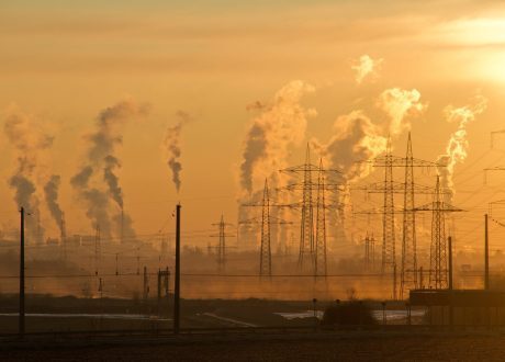 CHAMP to focus on backing local governments for climate action