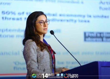 UN official: Private sector has key role in protecting biodiversity, nature