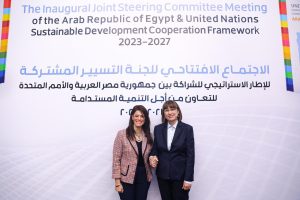 Egypt implemented development cooperation programs in 2023 under $178 million grants across the five pillars of the strategic framework; Fostering Human Capital, Sustainable & Inclusive Economic Development, Enhanced Climate Resilience & Efficiency of Resource Management, Transparency, Accountability & Efficient Governance, and Women's Empowerment, which serve the Sustainable Development Goals (SDGs),