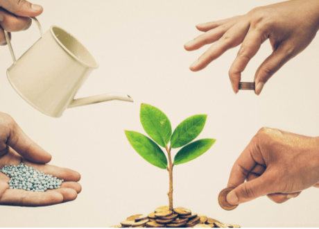 PRB Academy launches course on nature & responsible banking