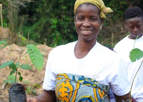 Nestlé launches two projects to cut emissions, promote agroforestry