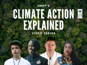 Egypt’s climate solutions highlighted in UNDP videos