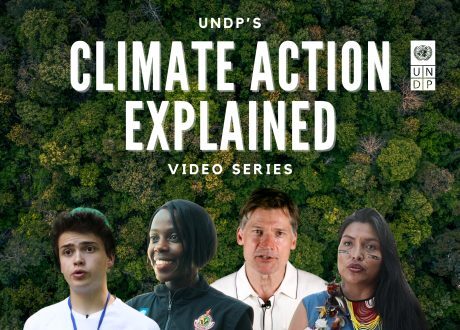 Egypt’s climate solutions highlighted in UNDP videos