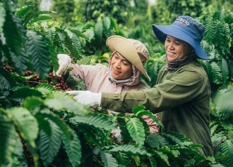 Nestlé cuts its GHG emissions by 13.5% in 2023