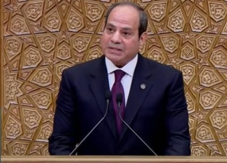 Sisi highlights keenness on upping expenditure on social protection