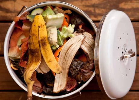 Food waste generates 8-10% of global emissions, causes $ 1 trln economic losses