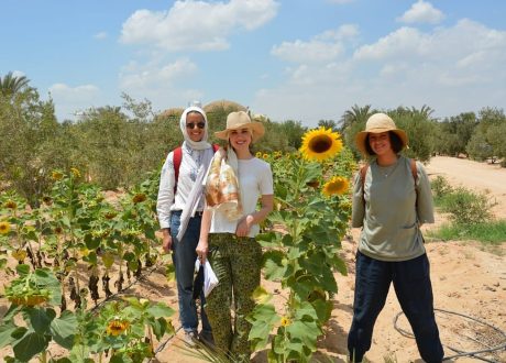Agritourism beacon of hope for Egypt to create resilient livelihoods, promote sustainability