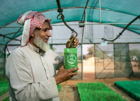 Saudi Arabia’s planting of 50bn trees represents 5% of global afforestation goal