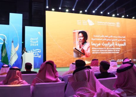 UNEP official: Every dollar invested in reviving degraded lands brings up to $30 in returns