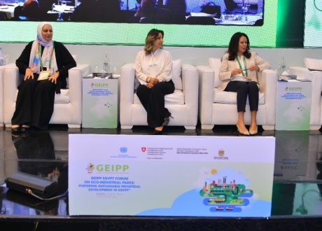 GEIPP Forum on Eco-Industrial Parks opens in Egypt
