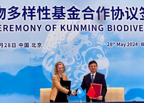Kunming Biodiversity Fund launched under UNEP, China