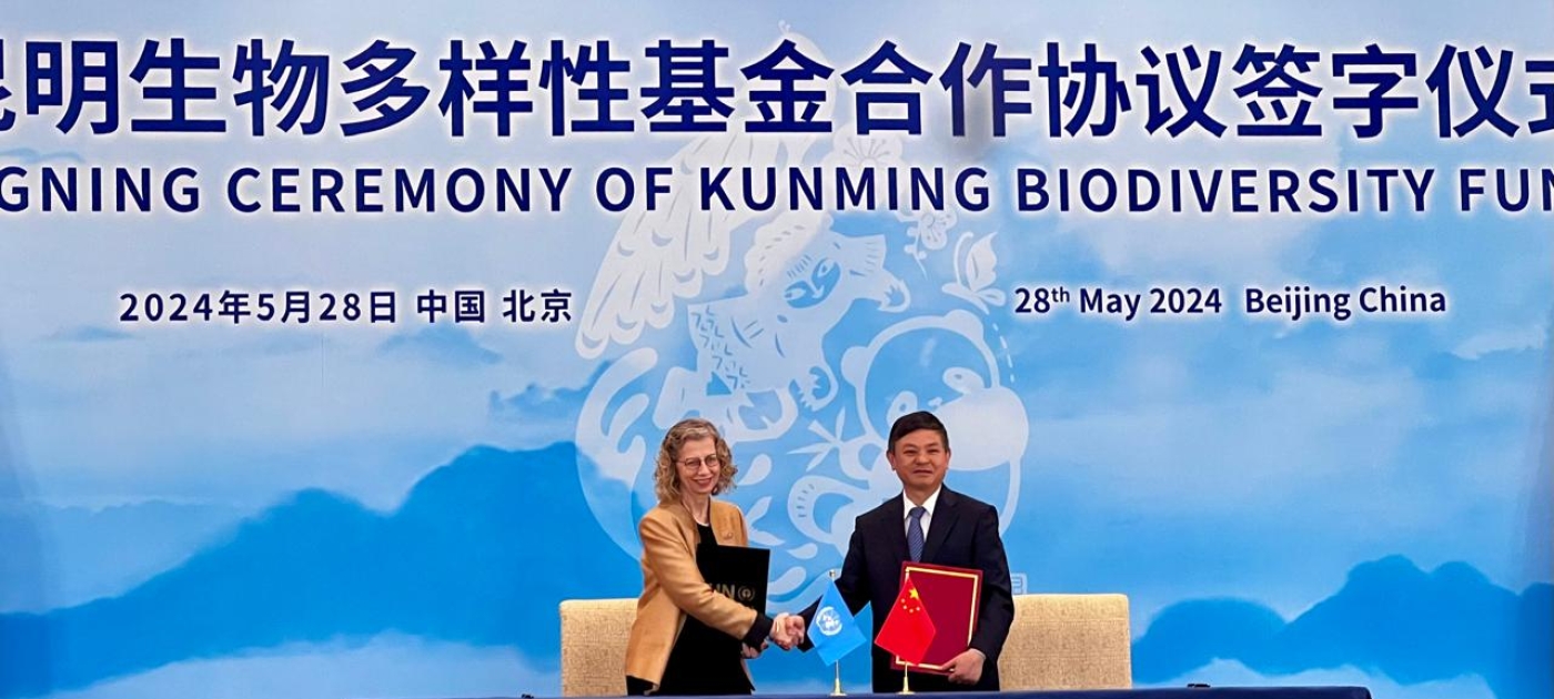 Kunming Biodiversity Fund launched under UNEP, China