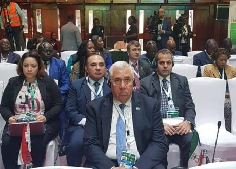 وزير الزراعة: الدولة المصرية أحرزت تقدمًا ملموسًا فى مجال صناعة وتوزيع الأسمدة