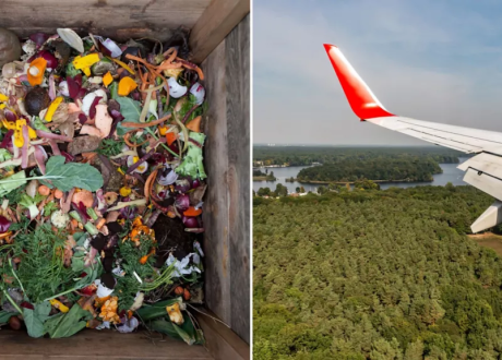 Honeywell uses trash, waste from forest, agricultural sites to develop SAF