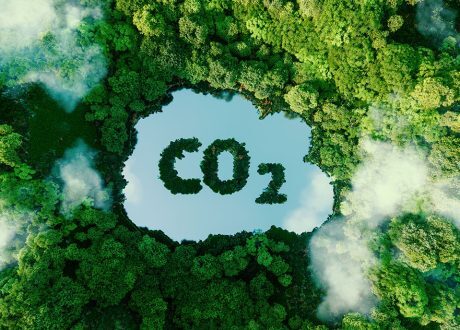 Research: Carbon dioxide up 10 times faster in past 50,000 years