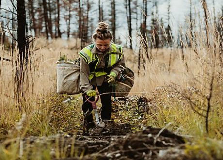 Tetra Pak launches “Approach Nature” with 25 targets