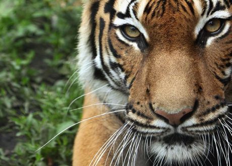 2024 Int’l Day for Biological Diversity urges to “Be part of the Plan”