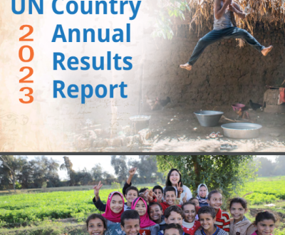 UNCT Report: UN spent $ 29.2 m on Environmental Sustainability & Climate Resilience in Egypt  