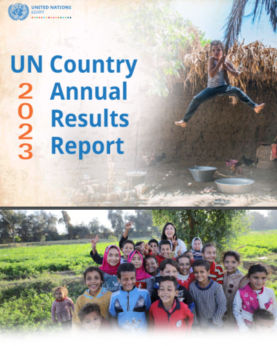 UNCT Report: UN spent $ 29.2 m on Environmental Sustainability & Climate Resilience in Egypt  