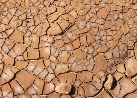 Denmark provides CHF 4.9 m to scale up Early Warnings for All initiative in Africa