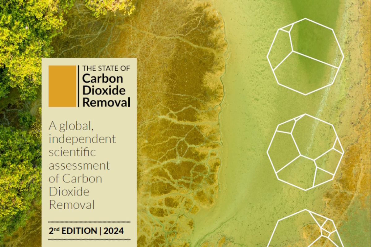 Report: 7–9 bn tons of CO2 should be removed annually in 2050