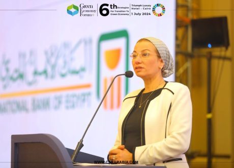 Fouad: Restructuring environmental sector focuses on cutting pollution, sustaining resources