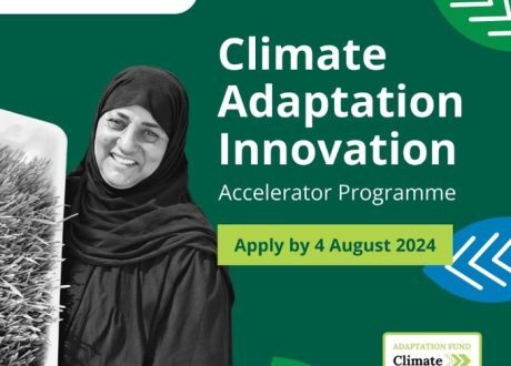 Climate innovative solution ventures in Egypt invited to apply for grant under $10m initiative
