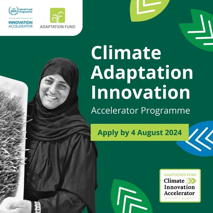Climate innovative solution ventures in Egypt invited to apply for grant under $10m initiative