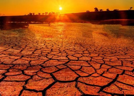 WMO: It was hottest June on record for globe
