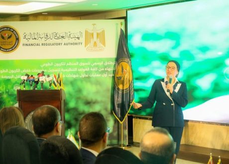 وزيرة البيئة: السوق الطوعي نتاج رحلة تشاركية ومرحلة مهمة للوفاء بالتزامات مصر المناخية