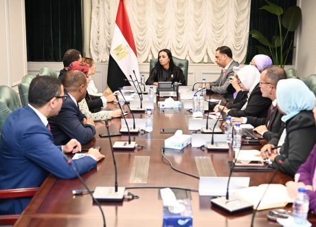 وزيرة التضامن توجه بتشكيل لجنة لبناء قاعدة بيانات شاملة للأشخاص ذوي الإعاقة