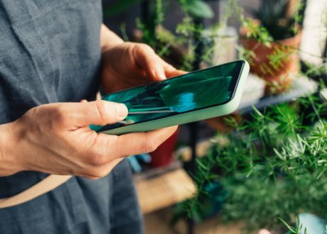 EBRD allocates $20 m loan to boost SMEs, green investments in Egypt
