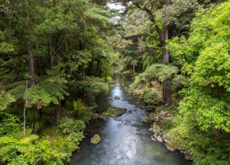 River flow decreased in 402 basins worldwide over climate change, land use – reports