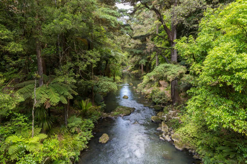 River flow decreased in 402 basins worldwide over climate change, land use – reports