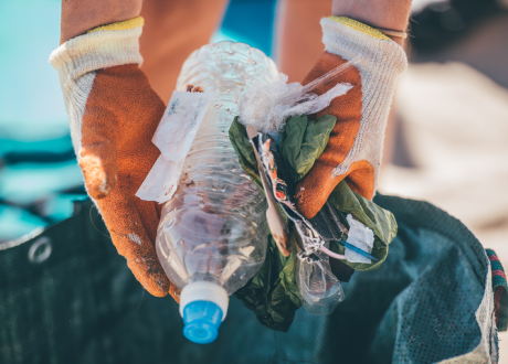MCS: 80% drop in plastic bags found per 100 meters of UK beaches