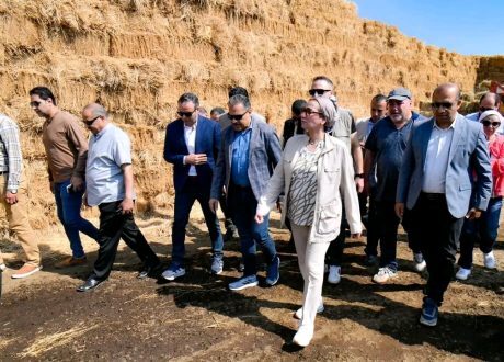وزيرة البيئة تبدأ أولى جولاتها لموسم مواجهة نوبات تلوث الهواء الحادة من الشرقية