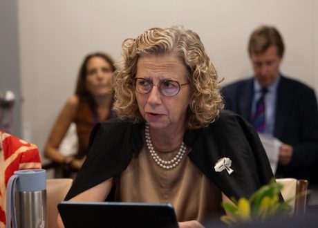 Andersen: Digital revolution tools can slow triple planetary crisis