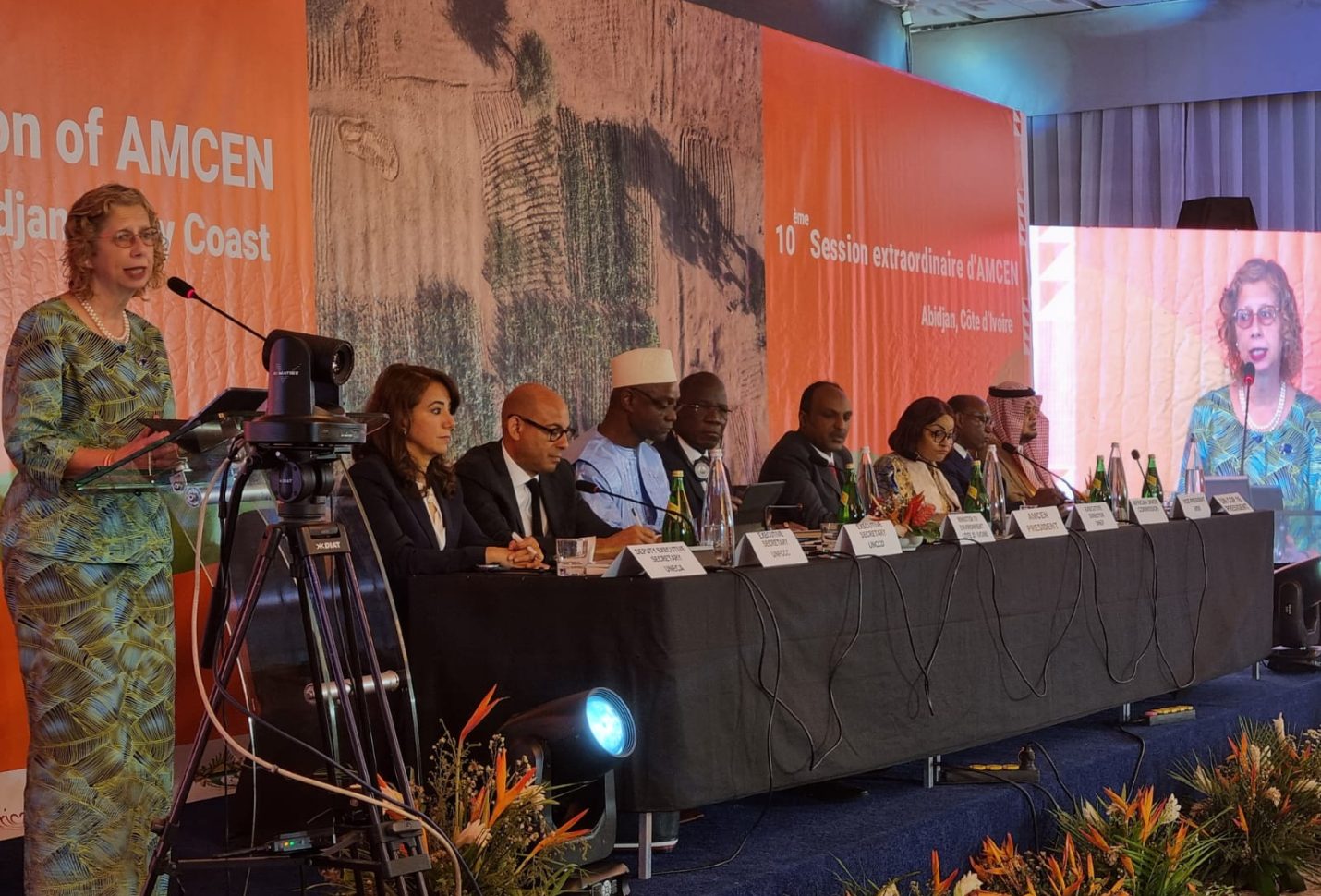 Andersen identifies three ways for Africa to deliver SDGs-related solutions