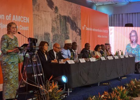 Andersen identifies three ways for Africa to deliver SDGs-related solutions