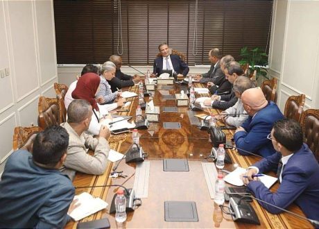 وزير الزراعة يبحث مع البعثة الإشرافية للايفاد جهود تنمية البيئات الصحراوية في مطروح