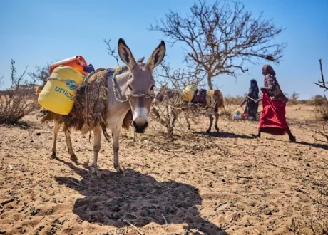 Abidjan declaration urges unlocking $ 1.2 trln to implement SDGs, adopting drought management protocol