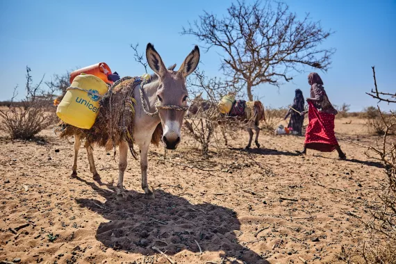 Abidjan declaration urges unlocking $ 1.2 trln to implement SDGs, adopting drought management protocol