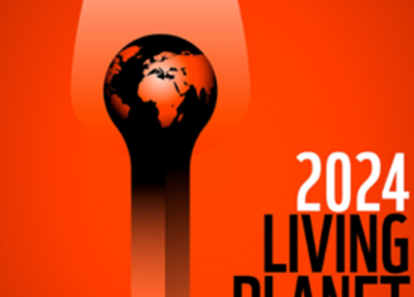 Report: 76% of Africa’s wildlife populations decline in 50 years