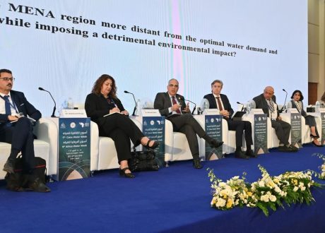 وزير الري يشارك فى جلسة “إستخدام الطاقة الشمسية فى التحلية لاستخدامات الرى”