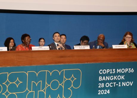 UNEP official: Implementation of Montreal Protocol led to phasing out 99% of ozone depleting substances