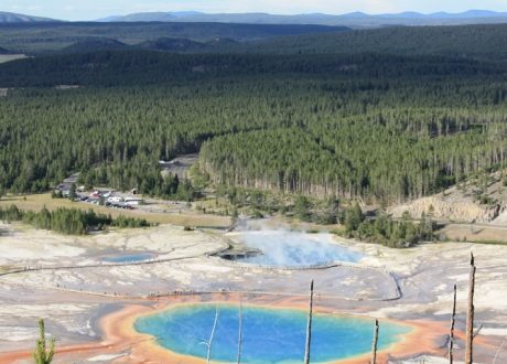 Report: Int’l community pledges to protect 30% of Earth by 2030