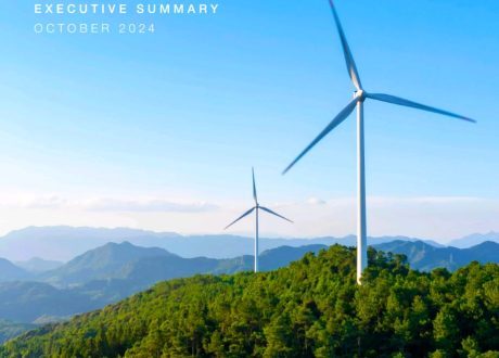 Egypt among 4 successful case studies cited by WEF Playbook of Solutions to Mobilize Clean Energy Investment