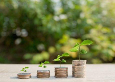 Sustainable bond issuance in ME down 18% in first nine months of 2024