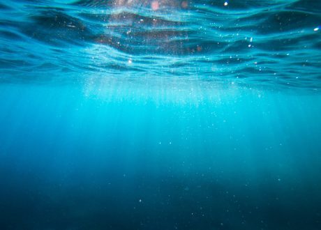 Brineworks, Captura, Sea02, Ebb remove dissolved CO2 from seawater