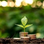 18 ٪ تراجعا في إصدار السندات المستدامة في الشرق الأوسط خلال الأشهر التسعة الأولى من عام 2024
